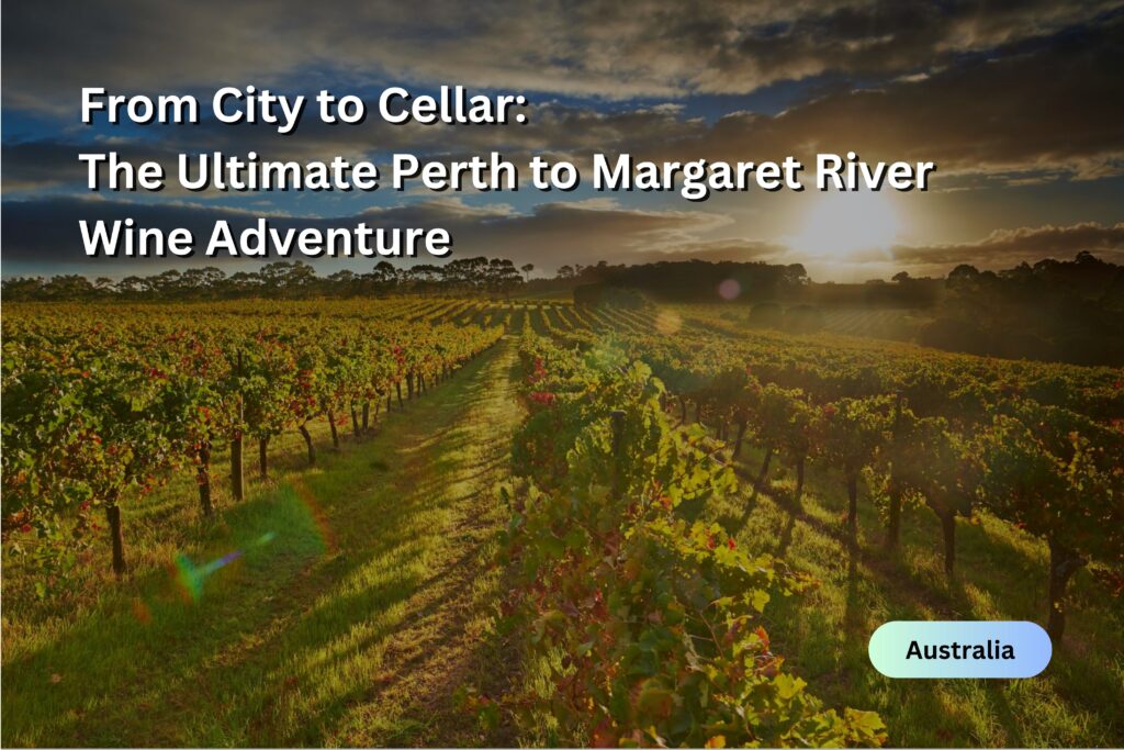 Image of a vineyard in Margaret River Australia with a sunset in the back. Image has texts that says, "From City to Cellar: The Ultimate Perth to Margaret River Wine Adventure"